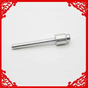 家具专用进口堵头拉钉厂家